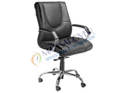 Economical Director Chair